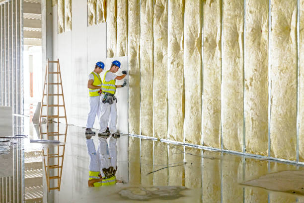 Best Insulation Installation Services in Green Island, NY